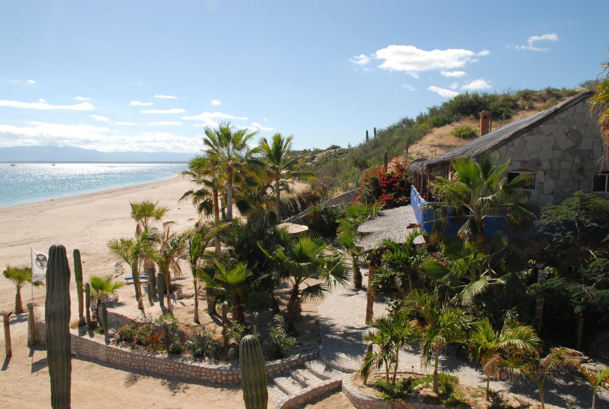 Ventana Bay Resort La Ventana Room photo