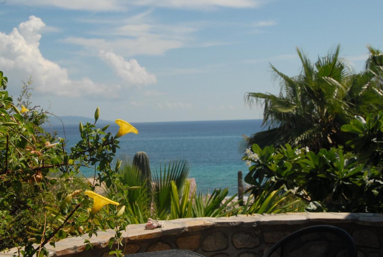 Ventana Bay Resort La Ventana Room photo